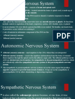 Autonomic Nervous System - Midterm