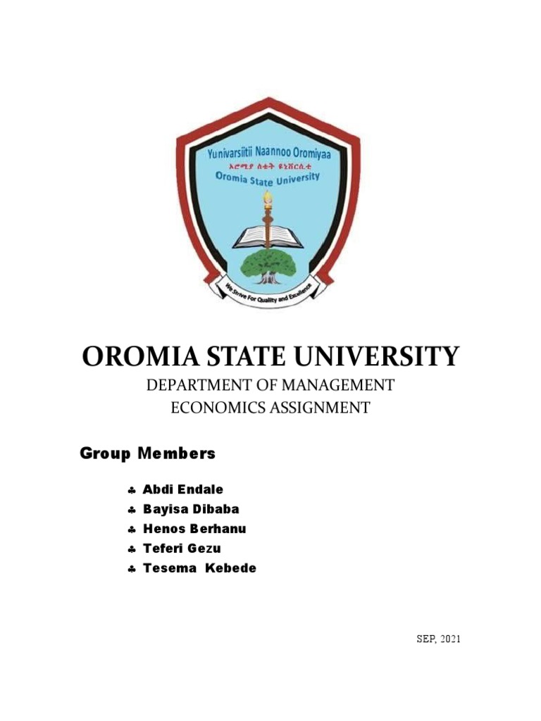 oromia-state-university-economics-assignment-pdf