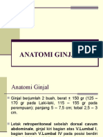 Anatomi Ginjal (Forensik)