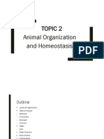 Topic 2 Animal Organization and Homeostasis