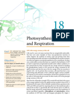 Photosynthesis and Respiration Explained