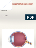 Examenul segm anterior LP