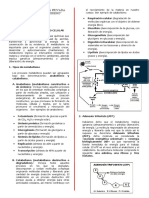 CLASE - METABOLISMO (1)