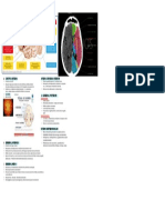 Síndromes Cerebrales