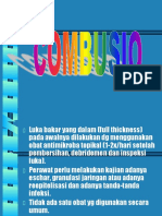 Dokumen PDF