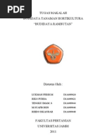 Download budidaya rambutan by Pf F SN54790048 doc pdf