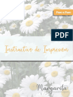 Instructivo de Impresion