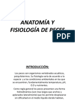 10. Anatomía y Fisiología de Los Peces (Presentación) Autor Instituto Nacional de Tecnología Agropecuaria