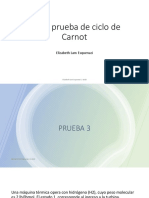 Pauta Prueba de Ciclo de Carnot C-D