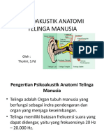 Psikoakustik Anatomi