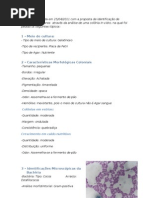 relatorio de microbiologia