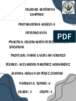 Observación Meteorológica Sensorial