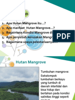 Kerusakan Hutan Mangrove