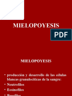 CLASE-MIELOPOYESIS