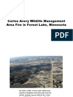Carlos Avery Wildlife Management Area Fire in Forest