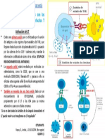 Tarea 2 de Inmuno