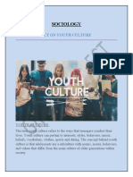 Sociology: Group Project On Youth Culture