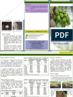 Fertilization Guide For Coconuts