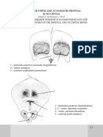 Scheme Examen Anatomie