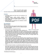 Notes On Cardiovascular System