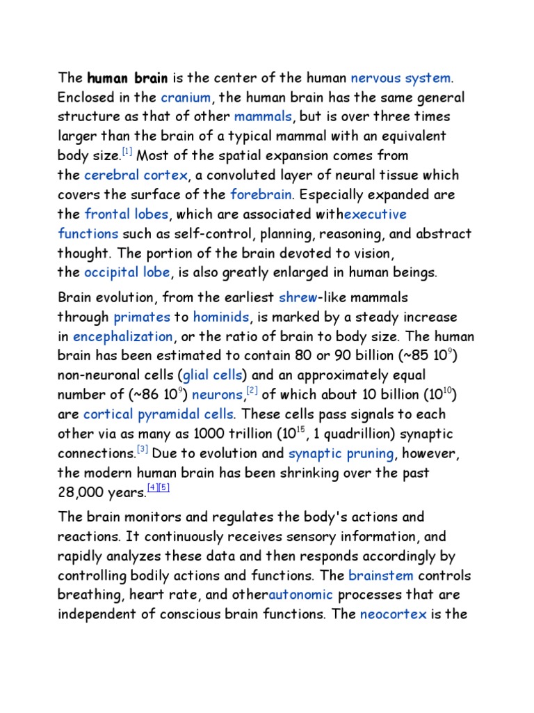 Human Brain Anatomy and Functions | PDF | Cerebrum | Human Brain