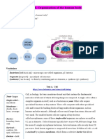 Unit Cell. Organization of The Human Body: Organ System