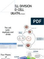 Cell Division and Cell Death