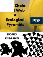 Food Chainfood Web and Ecological Pyramids