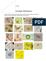 Curso Farmácia: Identificação de Espécies de Helmintos