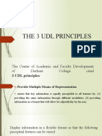 3 Udl Principles