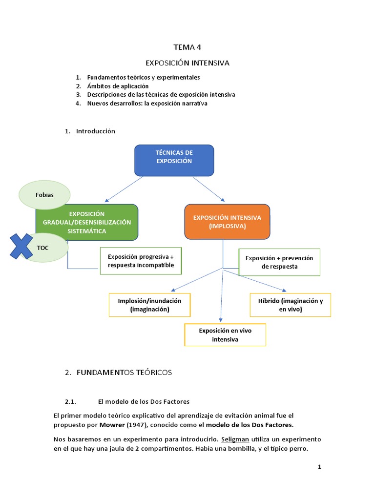 Técnicas de Exposición Gradual y Prevención | PDF | Desorden obsesivo ...