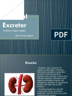 Sistemul Excretor