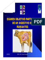 6 - EOP Digestivo Rumiantespdf (Modo de Compatibilidad)