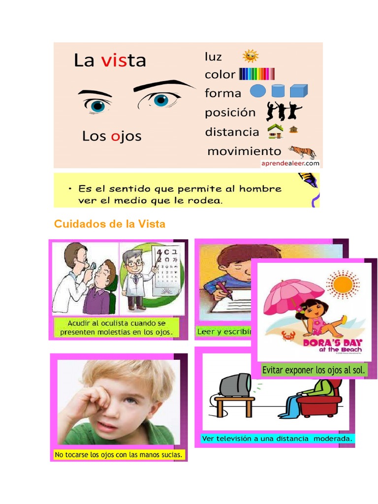 Cuidados de La Vista | PDF