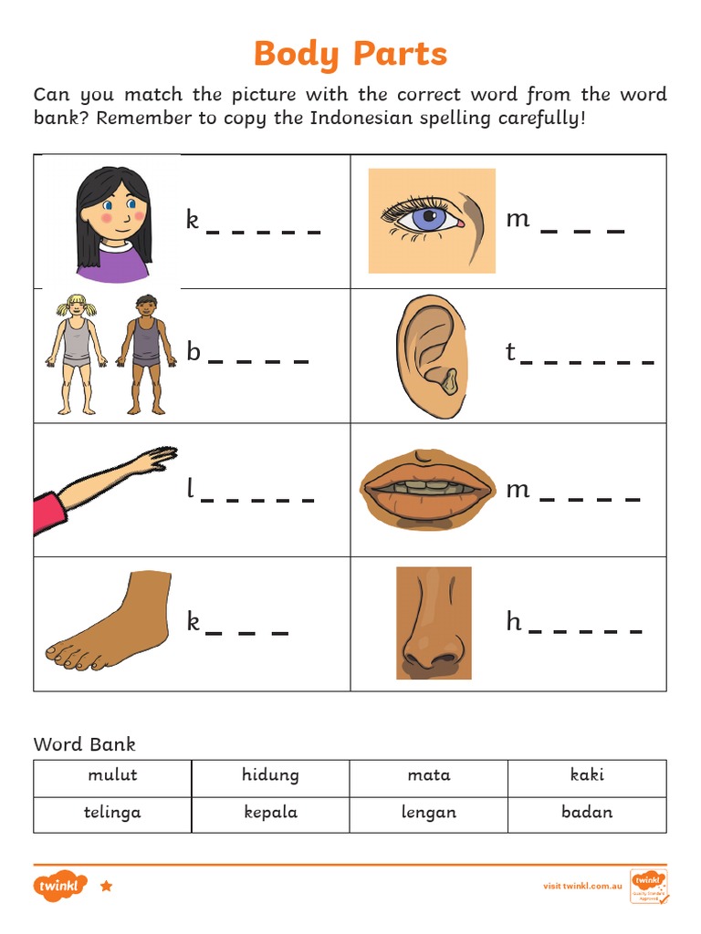 Au MFL 2548556 My Body Differentiated Worksheets Indonesian Ver 4 | PDF ...