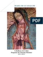 Virgen de Guadalupe