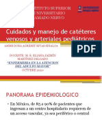 Cuidados y Manejo de Catéteres Venosos y Arteriales