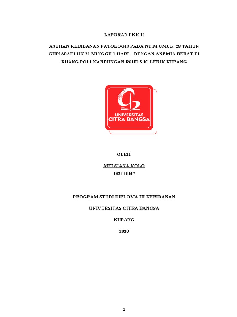Icd 10 Anemia Berat