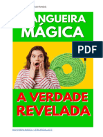 Mangueira Mágica São Paulo
