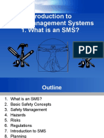 Introduction To Safety Management Systems 1. What Is An SMS?