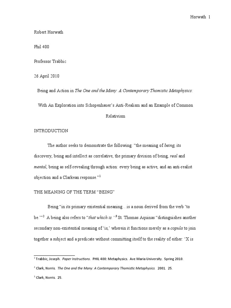 Metaphysics Paper PDF Idea Mind