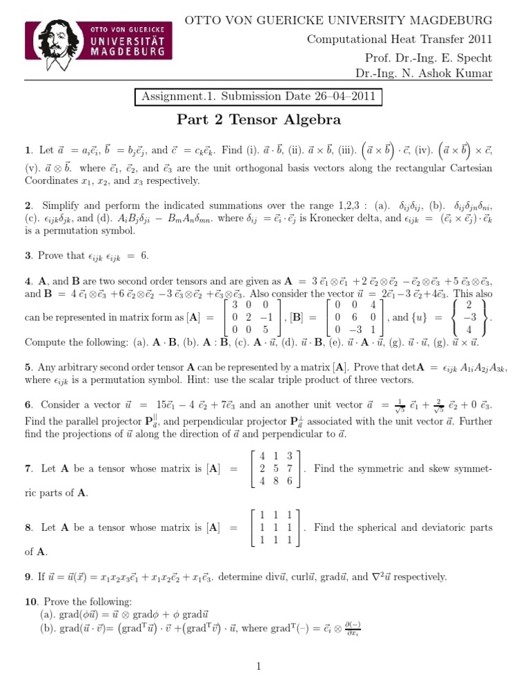 Tensor Algebra Assignment 2011 | PDF | Tensor | Euclidean Vector