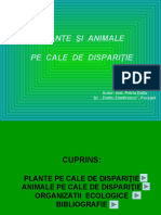 Plante Şi Animale Pe Cale de Dispariţie: Autor: Inst. Petria Dolia Şc. Duiliu Zamfirescu", Focşani