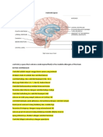 Ventricle Space