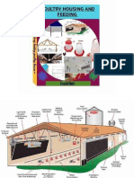 Modern Poultry Housing Design and plans-1