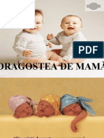 Dragostea de mama2