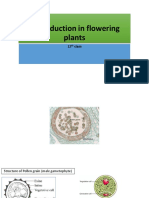 Pollen grain structure and reproduction in flowering plants