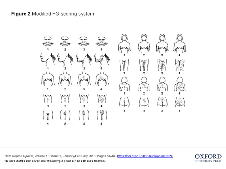 Modified FG Scoring System Overview | PDF | Science & Mathematics