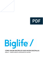 Biglife FULL Training Manual SPANISH v3.0