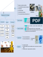 Micologia Mapa Clase 1